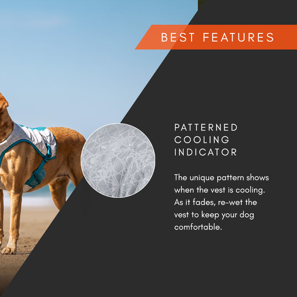 Cooling Vest