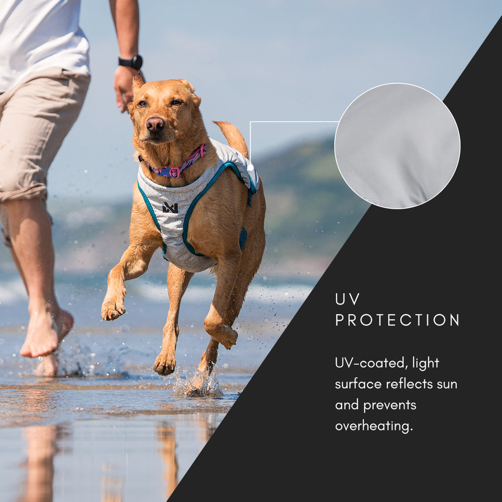 Cooling Vest