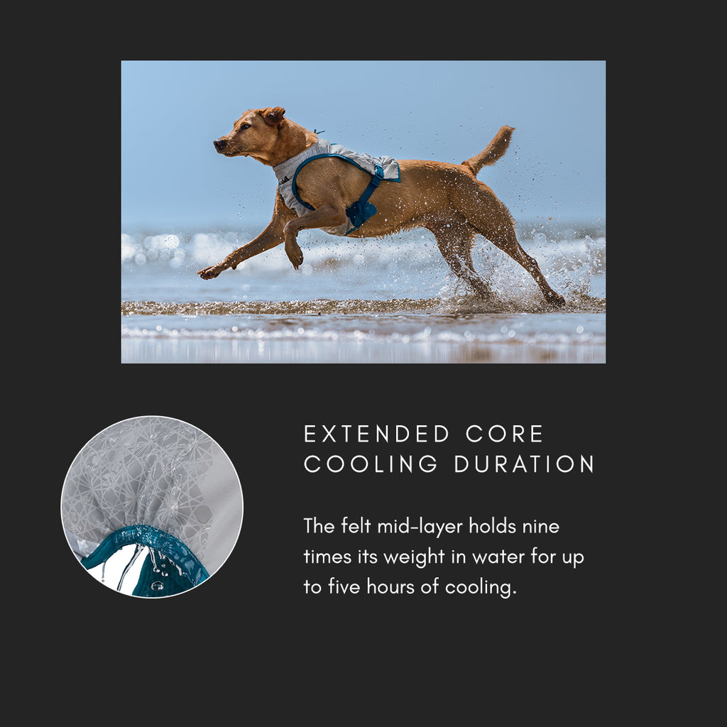 Cooling Vest