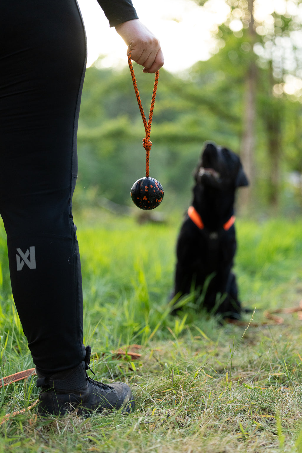 Dog ball on rope - Large