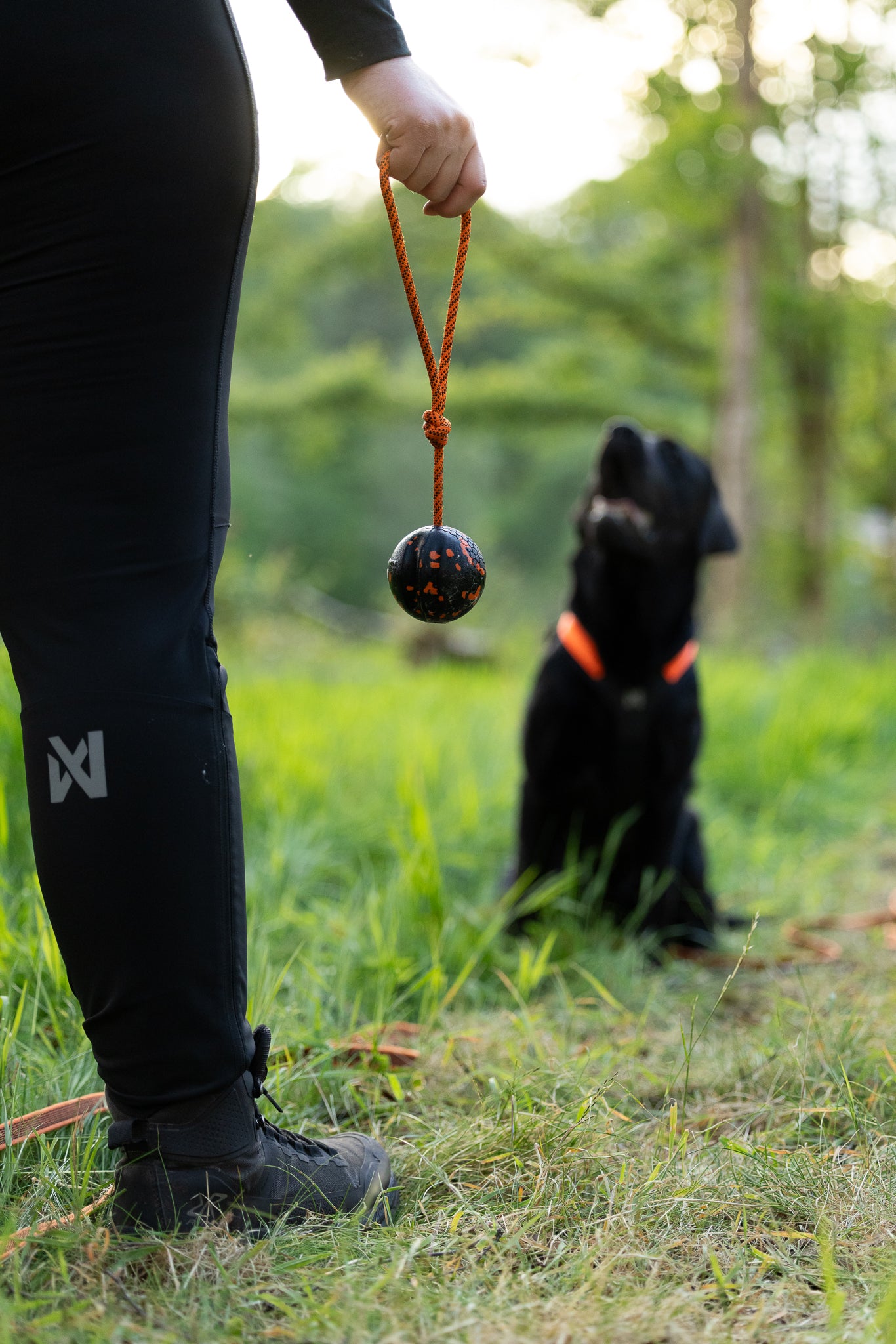 Dog ball on rope - Large