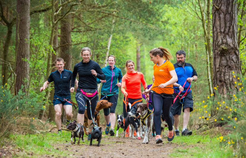 Sunday Social Run