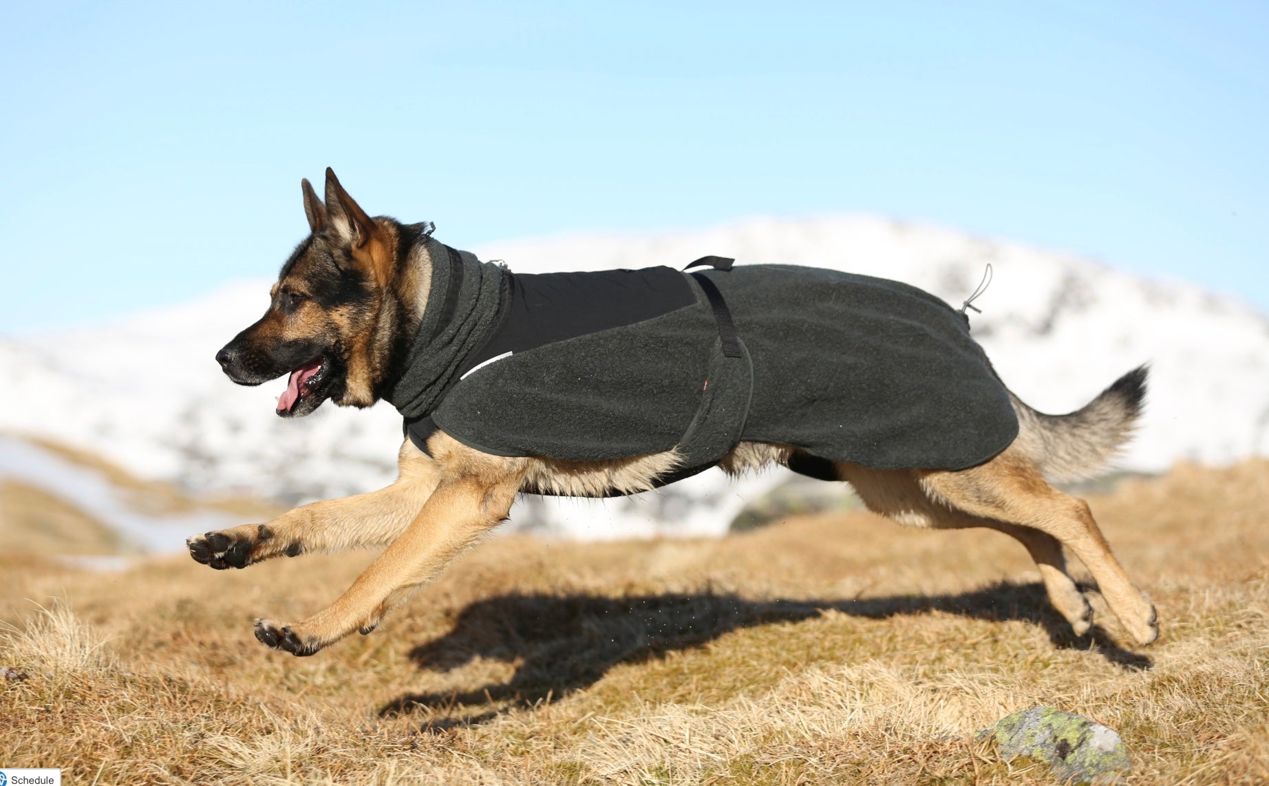 Wool Dog Jacket