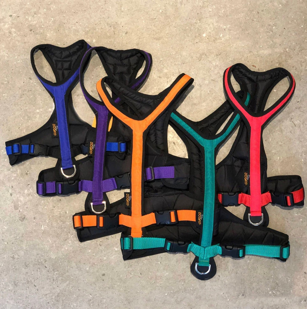 Pre-Loved Dogfit Short harness