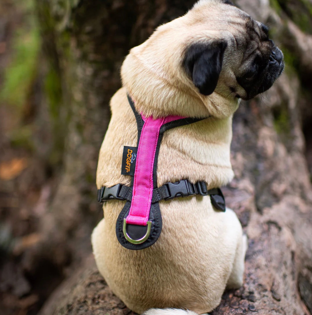 Pre-Loved Dogfit Short harness