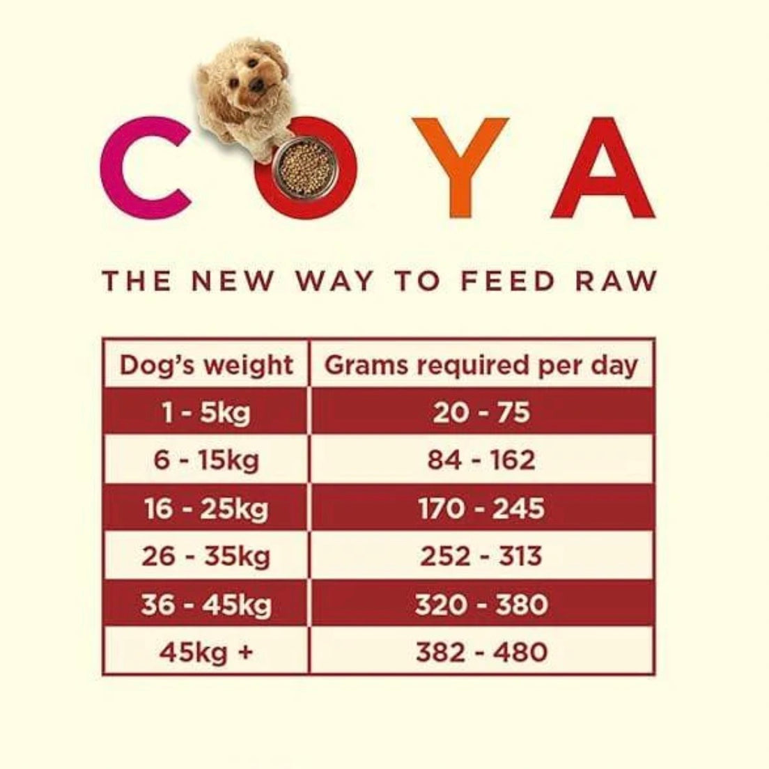 COYA Freeze Dried Beef Adult Dog Food