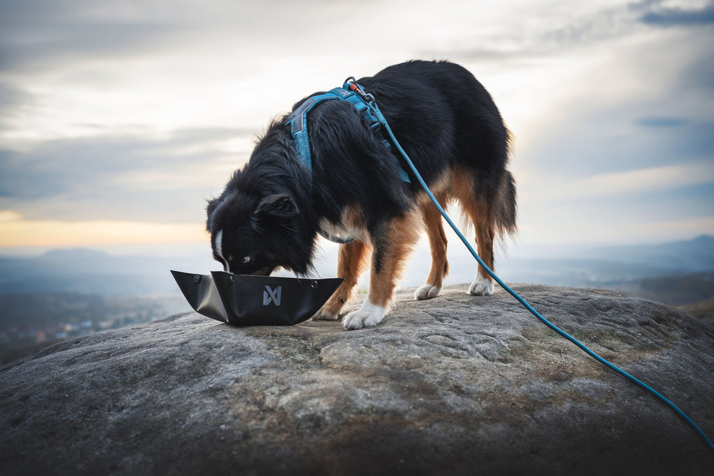 Trekking Bowl