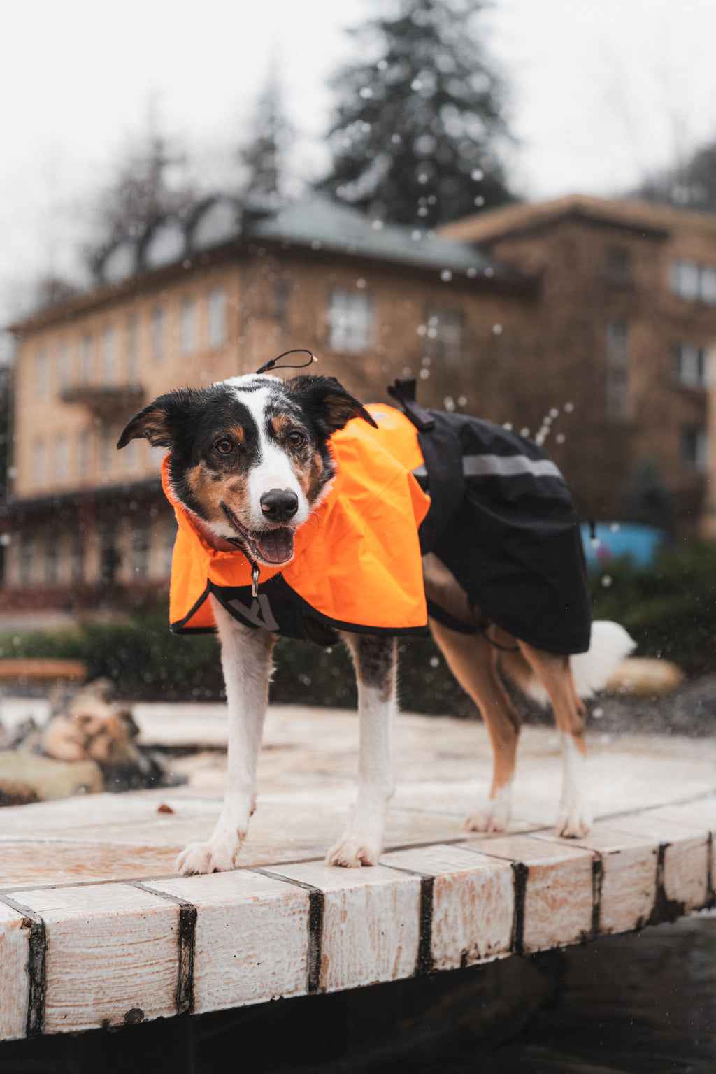 Fjord Raincoat 2.0