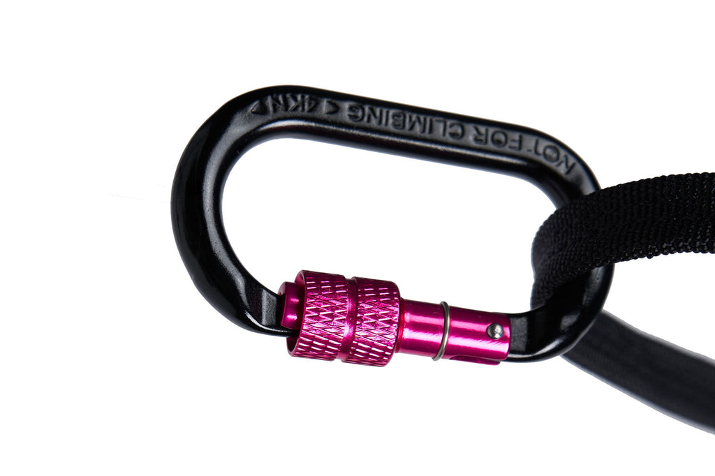 CaniX Belt 2.0