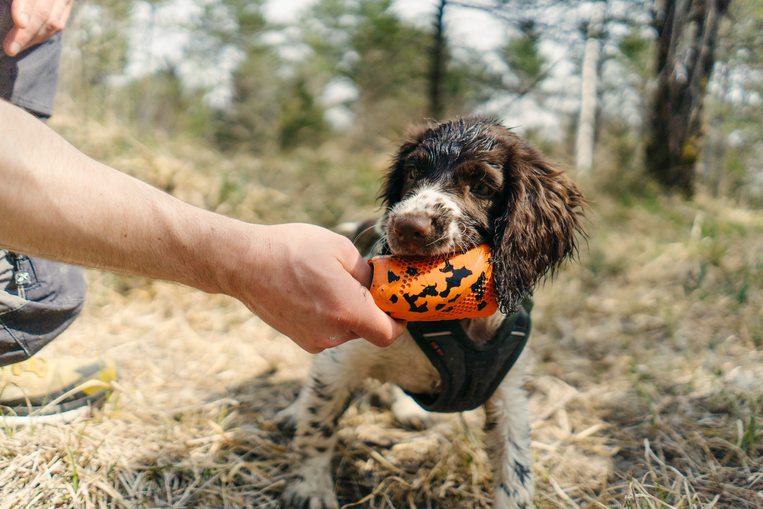 Throw Toy
