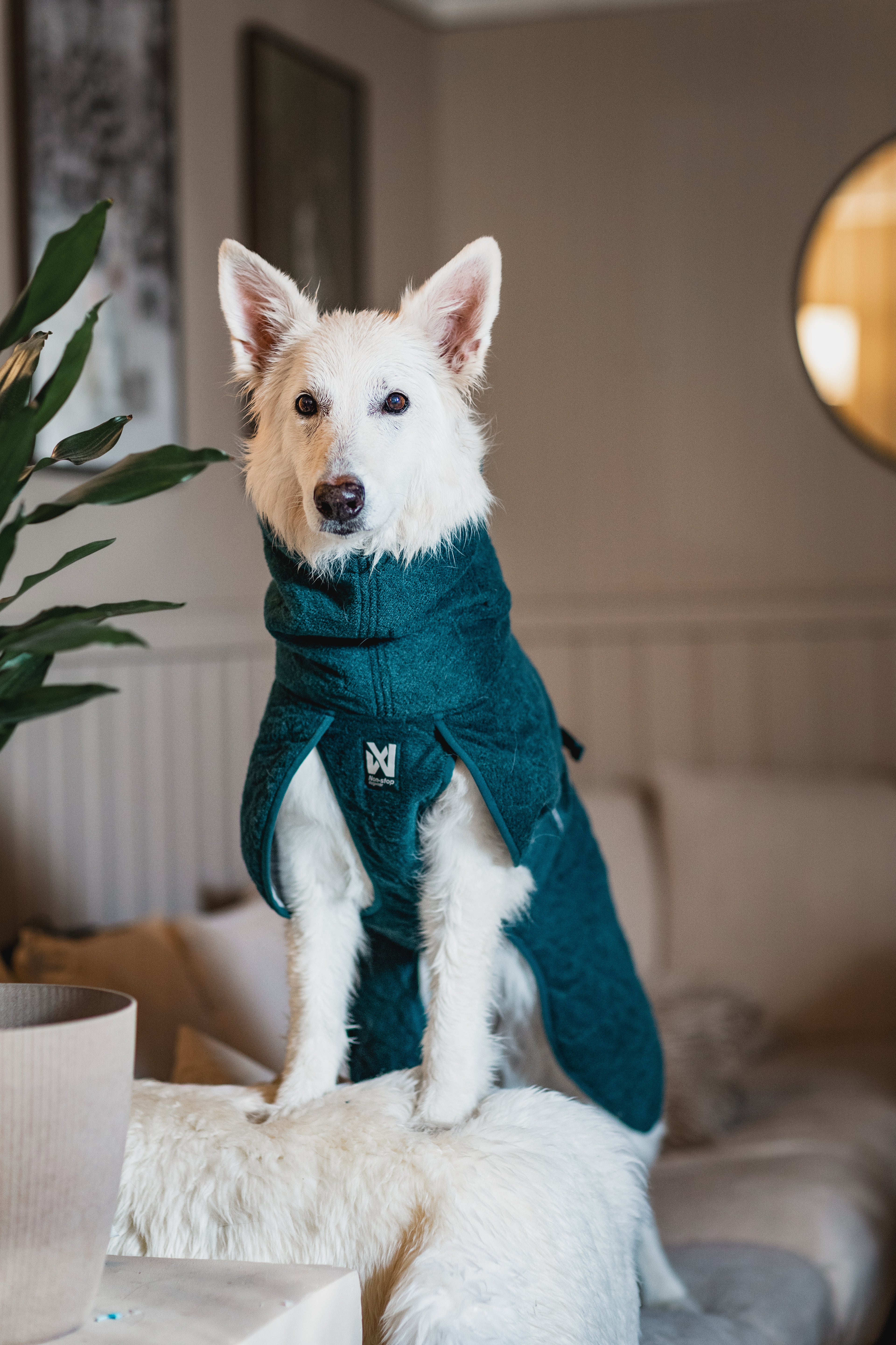 Drying Coat